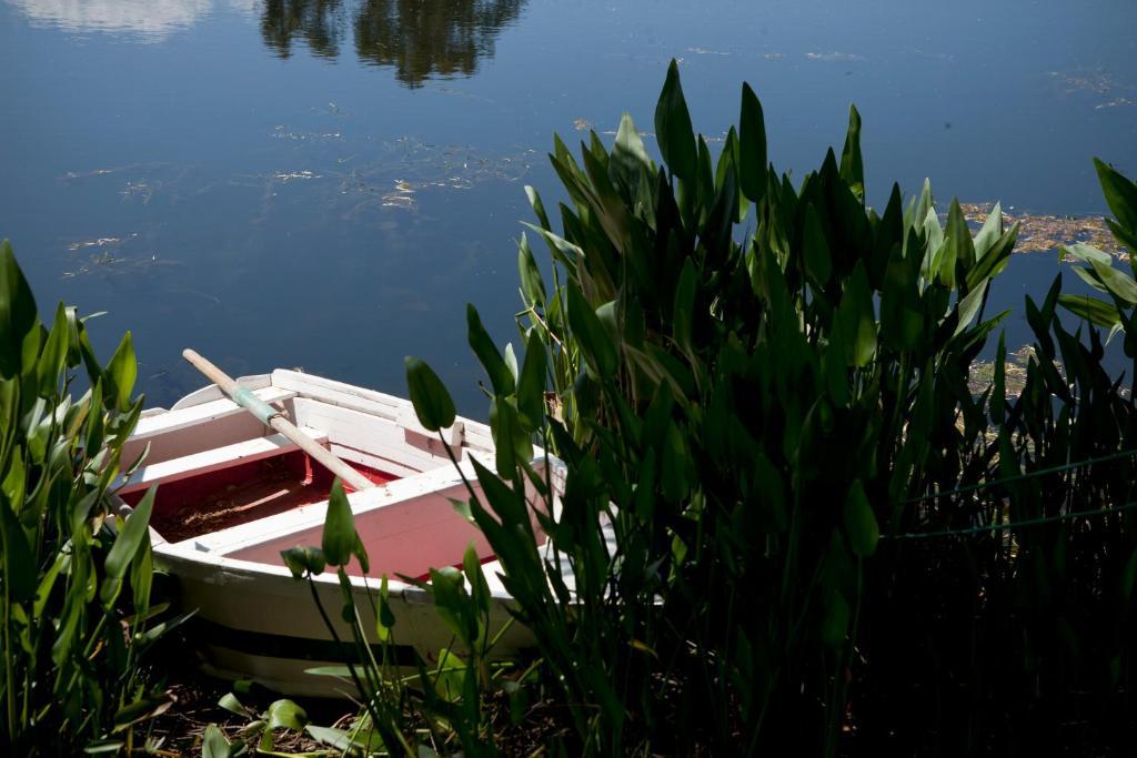 Herdades Da Frupor - Casas De Campo Brejao ภายนอก รูปภาพ